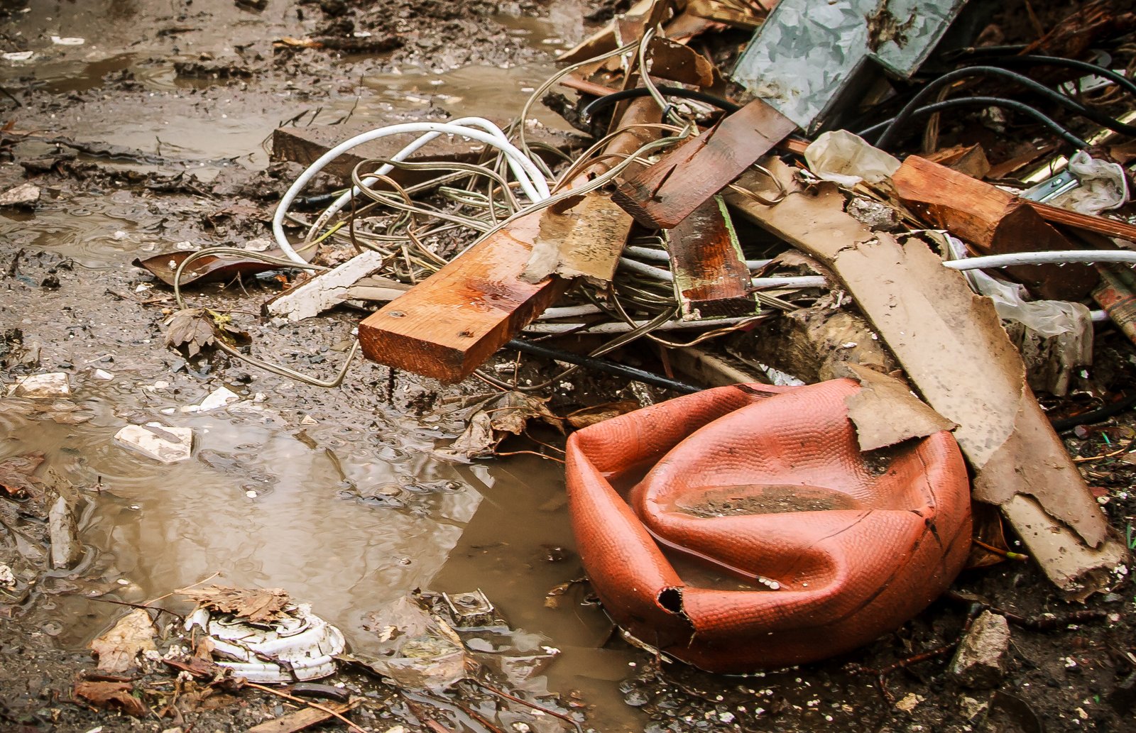 art-of-sandy-mo-staten island 2-47.jpg